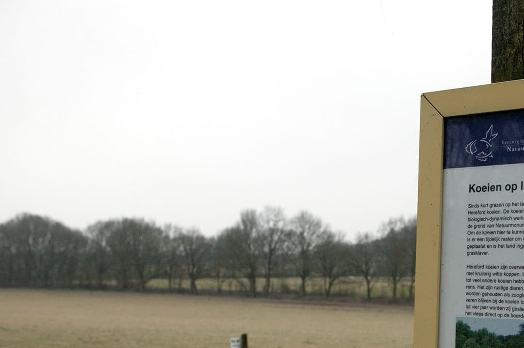 Foto: Hans Prinsen