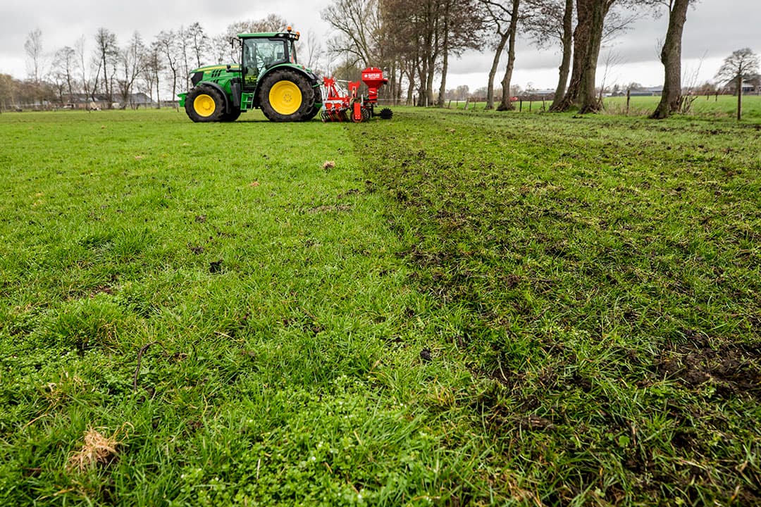 Foto: Koos Groenewold