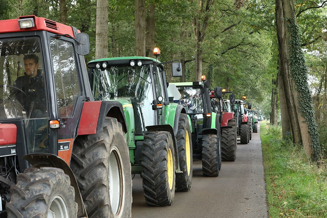 Foto: Henk Riswick