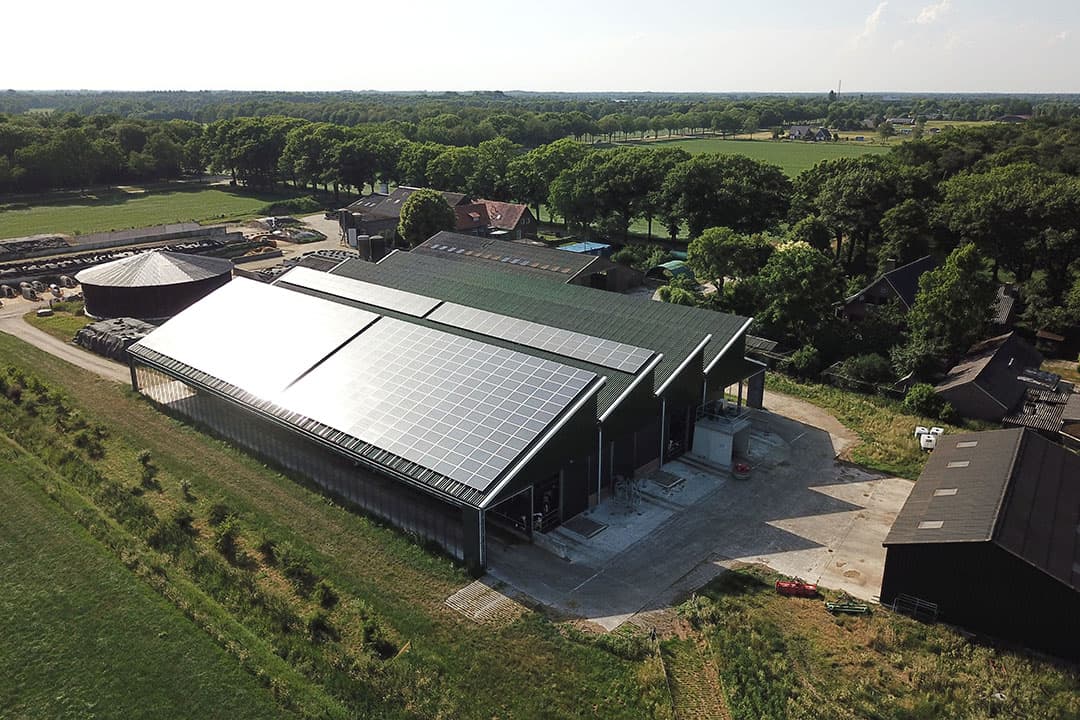 Foto: Bert Jansen