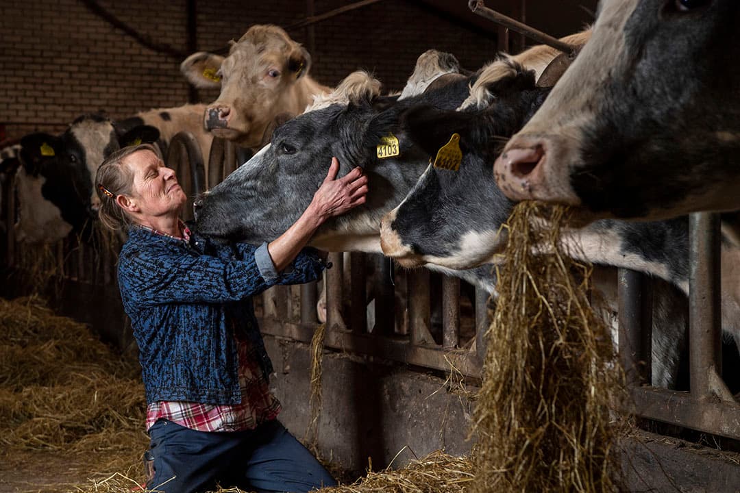 Foto: Frank Uijlenbroek