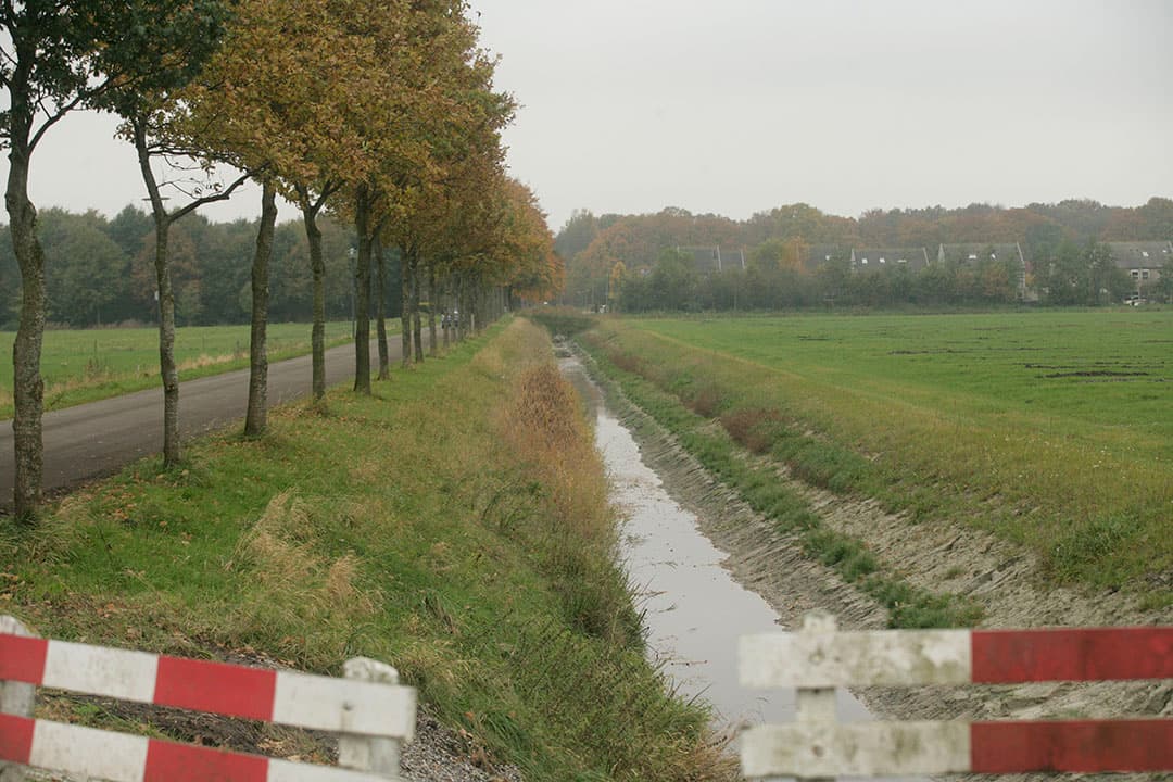Foto: Koos Groenewold