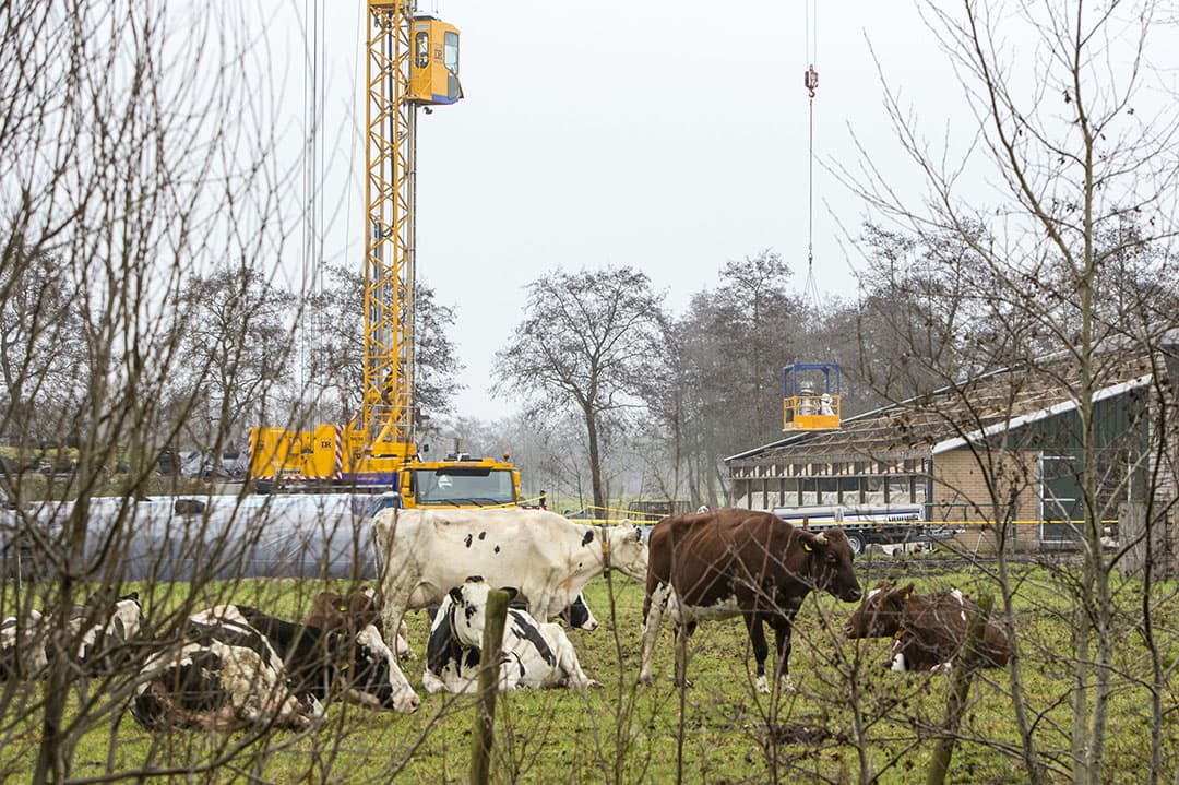 Foto: Anne van der Woude