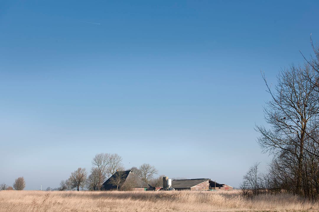 Foto: Mark Pasveer