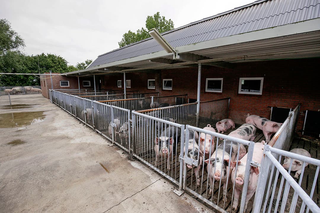 Foto: Jan Willem van Vliet