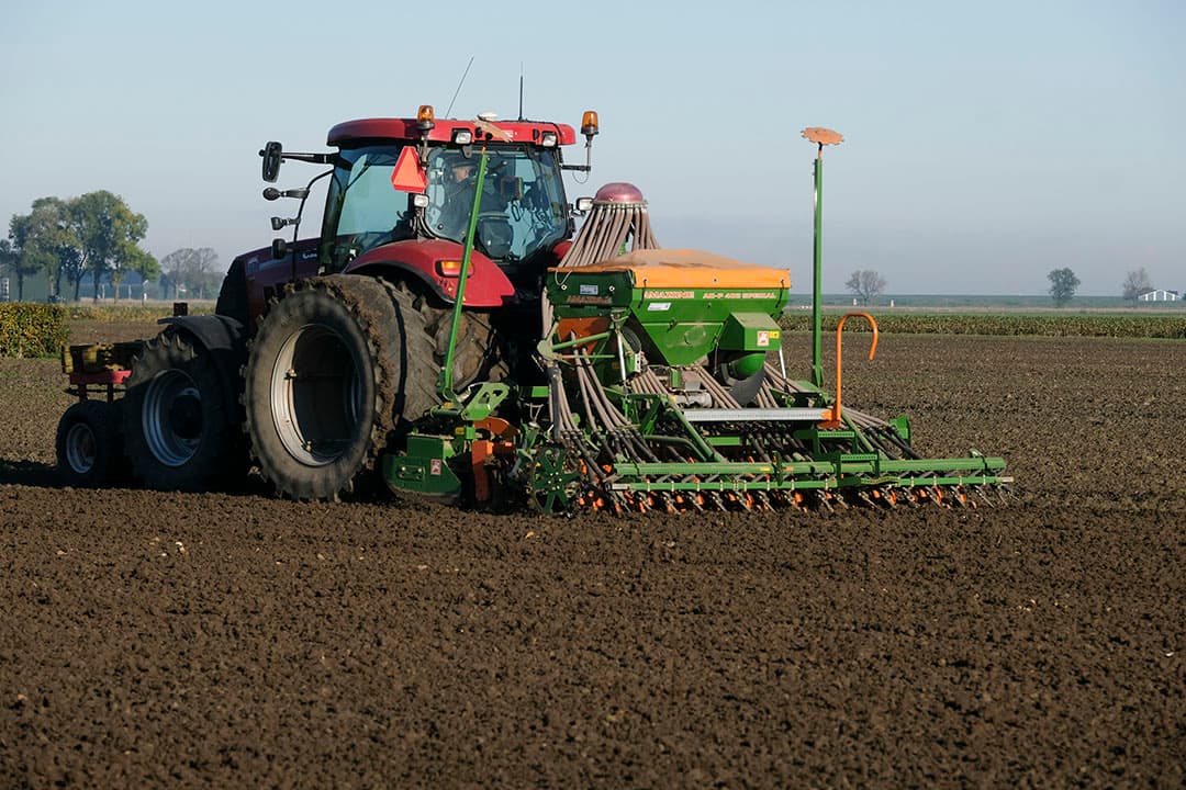 Foto: Jan Willem van Vliet