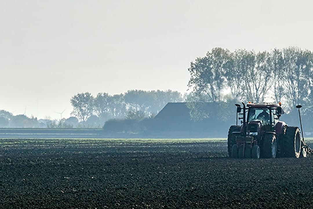 Foto: Jan Willem van Vliet