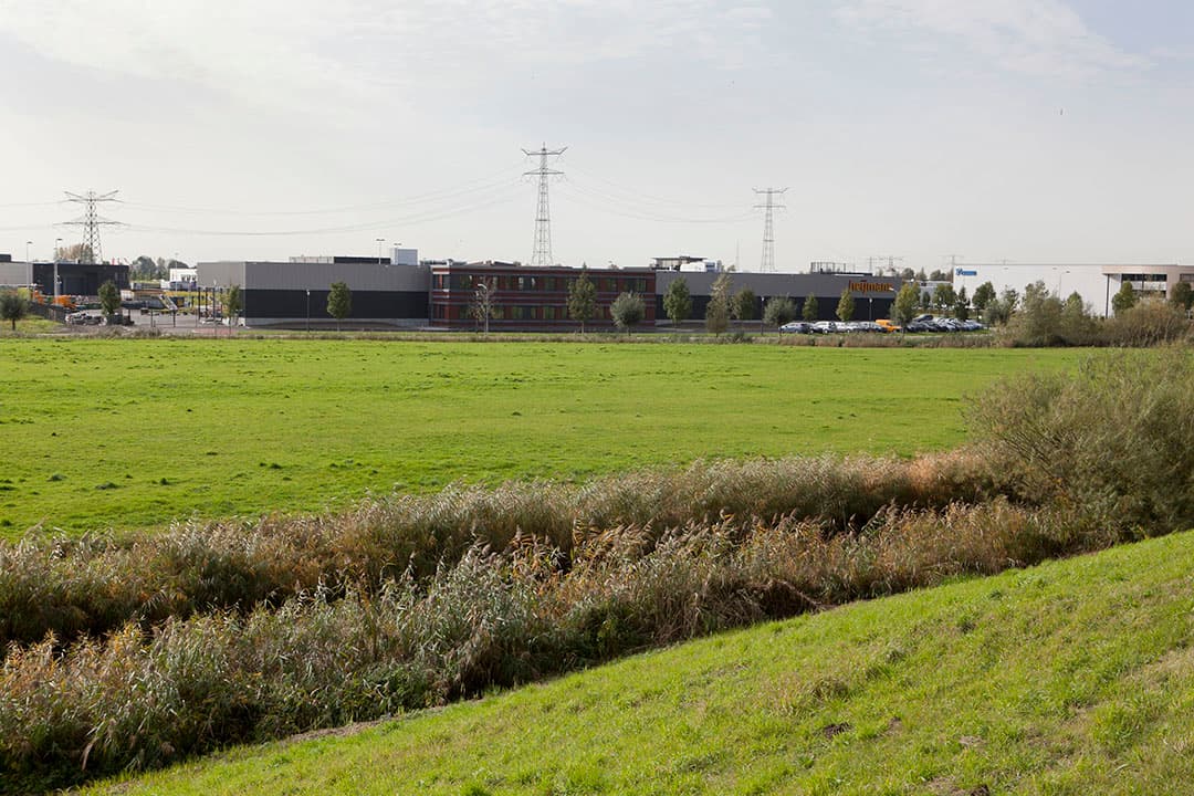 Foto: Roel Dijkstra