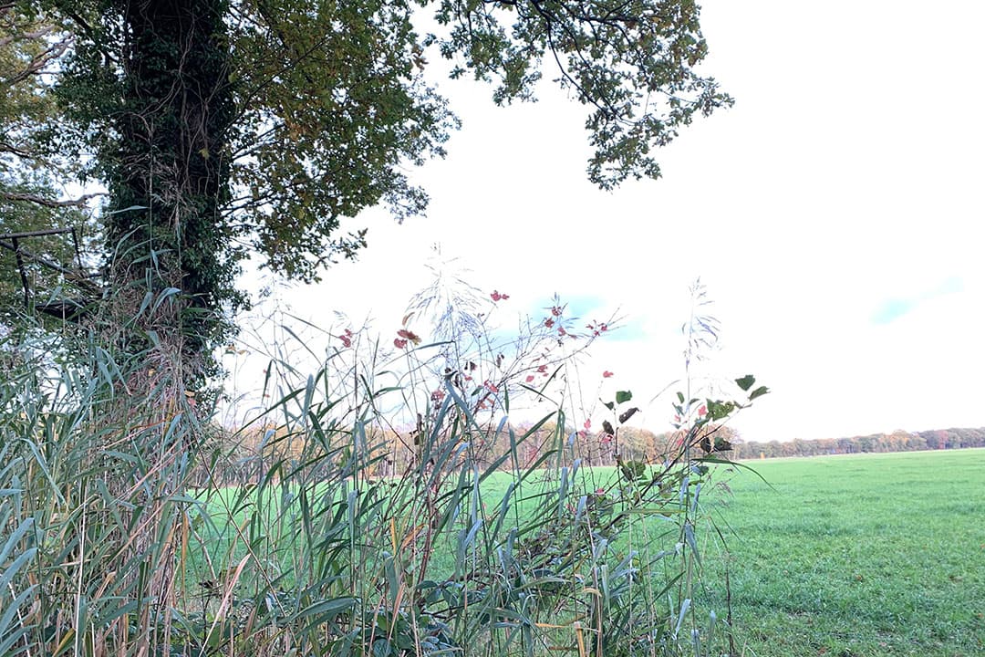 Foto: Boerderij