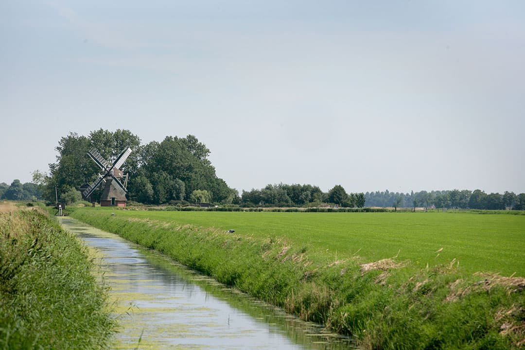 Foto: Henk Riswick