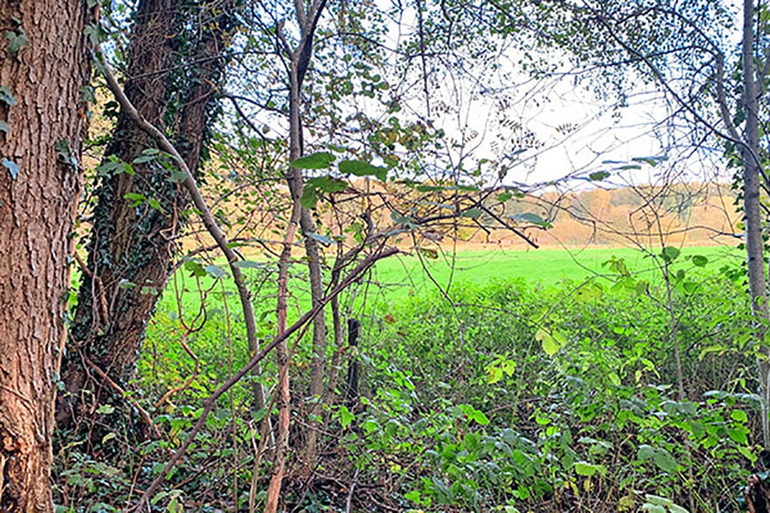 Foto: Boerderij