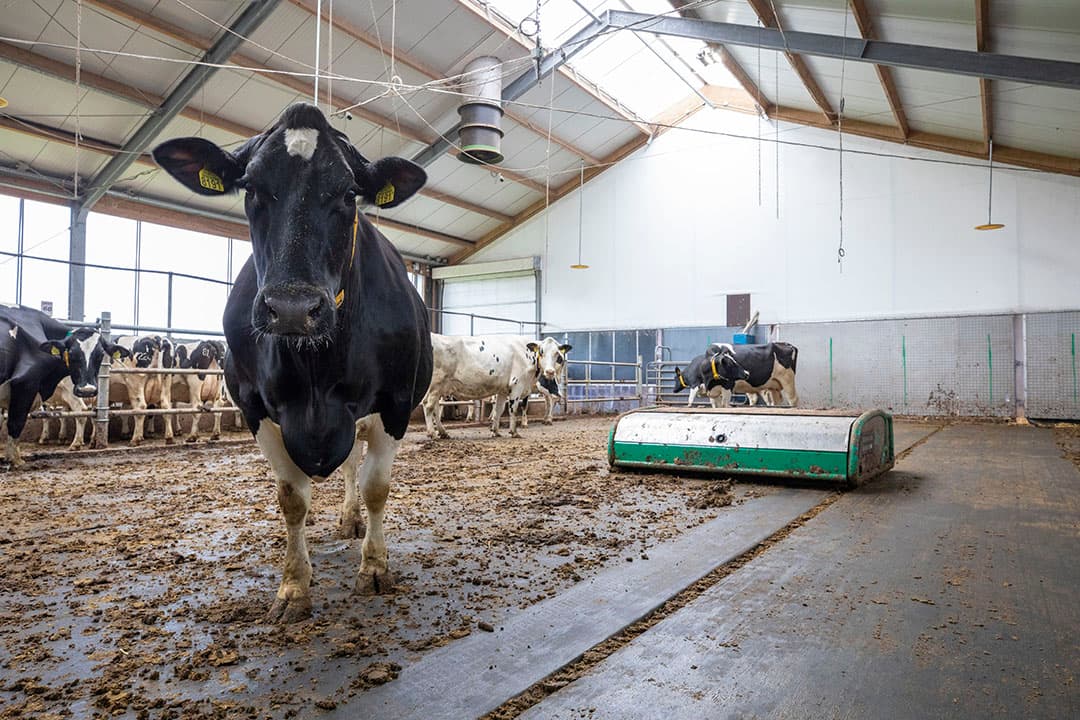 Foto: Anne van der Woude