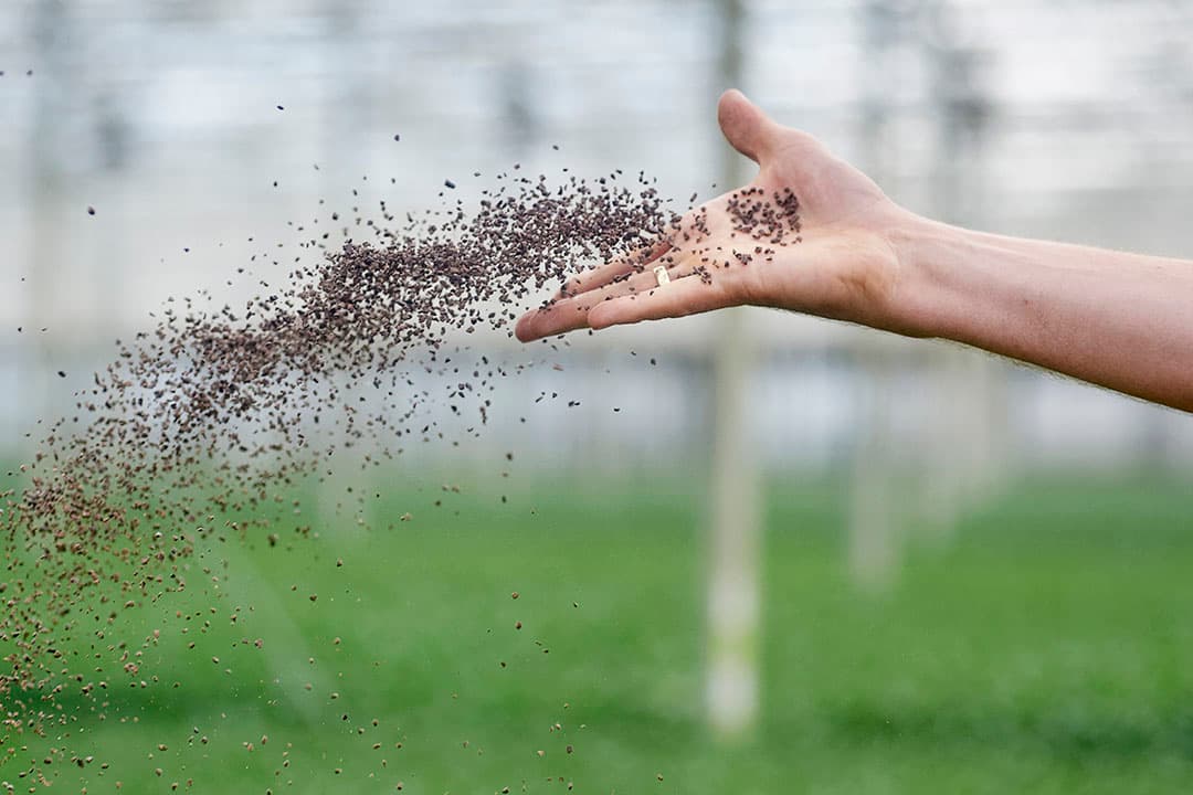 Foto: Van Assendelft
