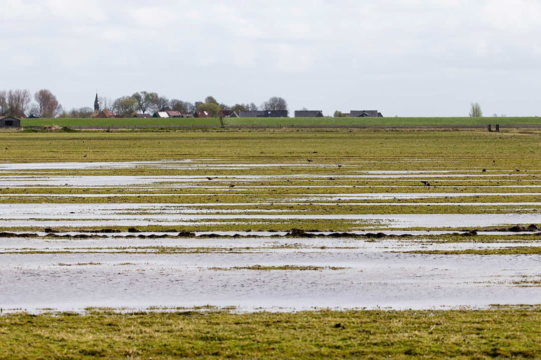 Foto: Anne van der Woude