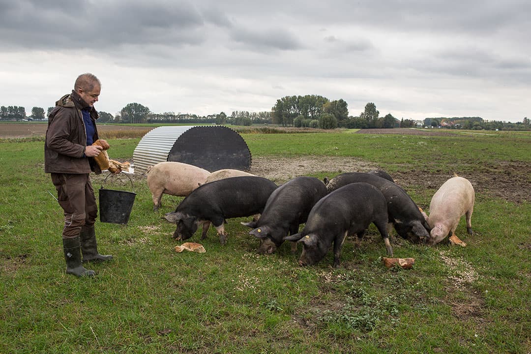 Foto: Peter Roek