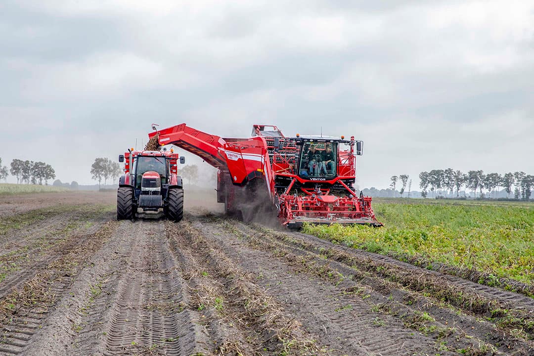 Foto: Koos van der Spek