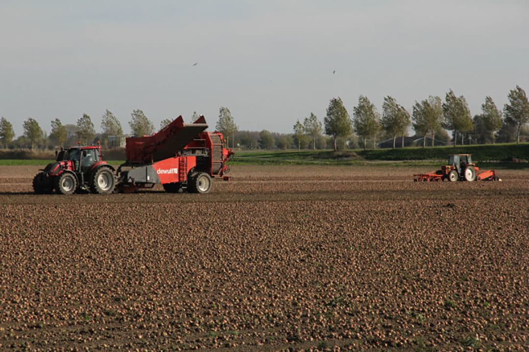 Een etmaal zon en wind en de omstandigheden worden voor akkerbouwcombinatie Nieuw-Kampen uit het Zeeuwse Kamperland voldoende geacht om de ongeveer 8,5 ha nog vaststaande uien te rooien en binnen te halen.