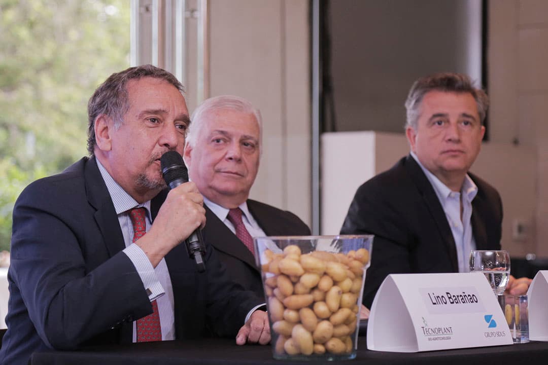 Presentatie van de eerste transgene aardappel Spunta Ticar in Argentinië.