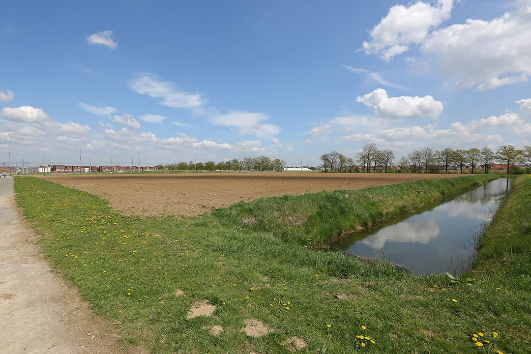 Foto: Tamara Reijers