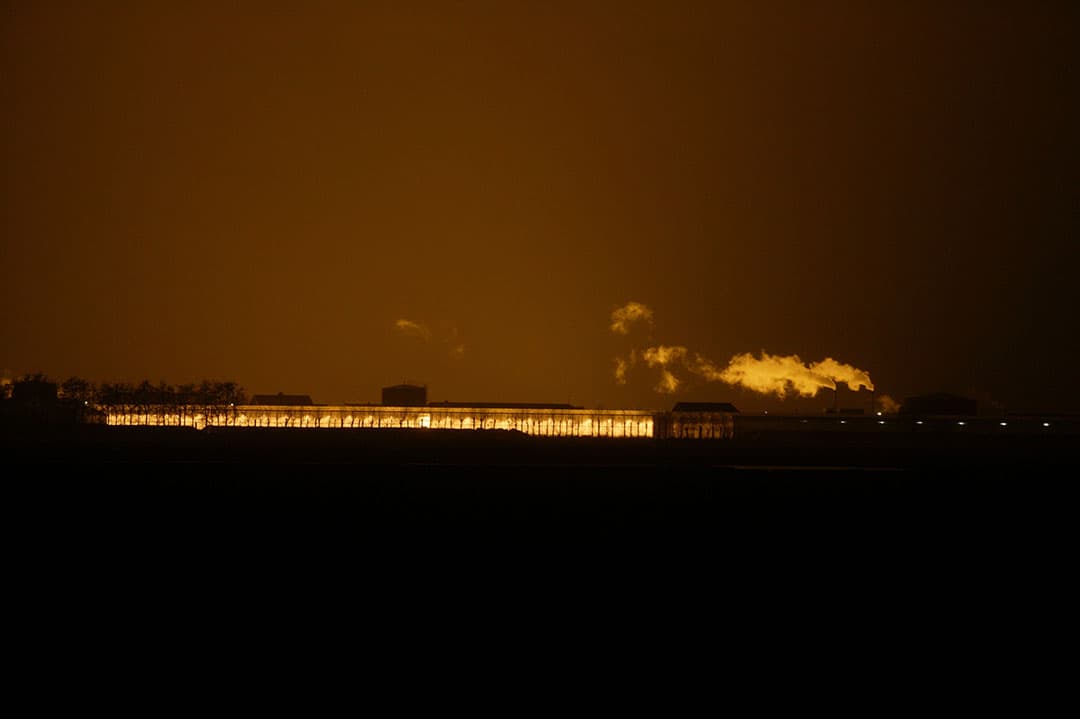Kassen. In de plantaardige sector is het energieverbruik van kassen een significante oorzaak van stikstofuitstoot. Maar veruit de meeste stikstofuitstoot uit de land- en tuinbouw komt van veebedrijven. - Foto: Mark Pasveer