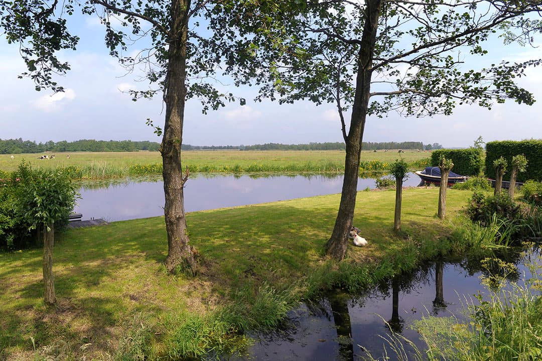 Foto: Fotopersburo Dijkstra