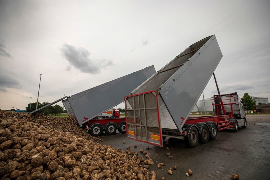 Foto: Roel Dijkstra