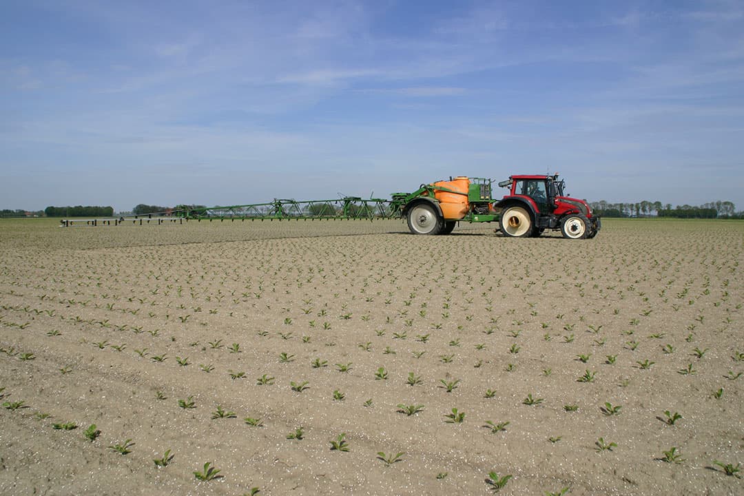 Foto's: Boerderij
