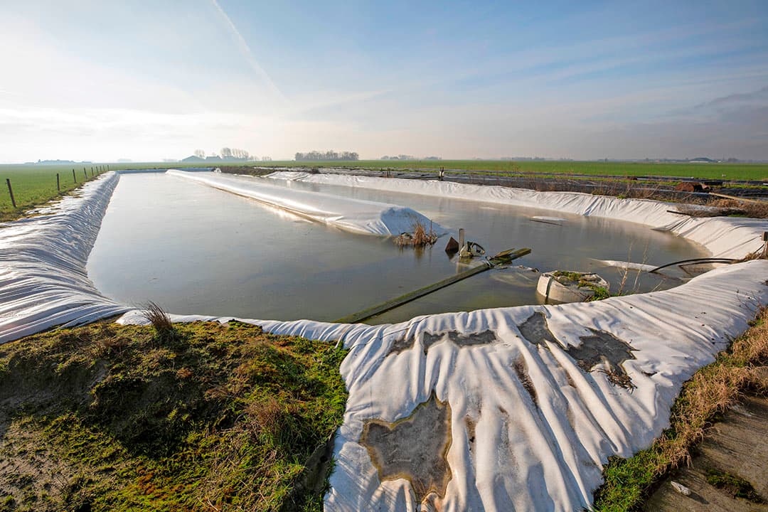 Foto: Anne van der Woude