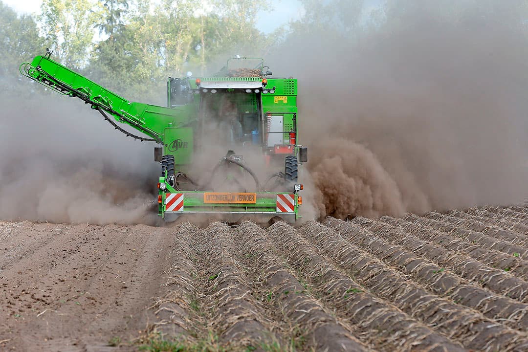 Foto: Hans Prinsen
