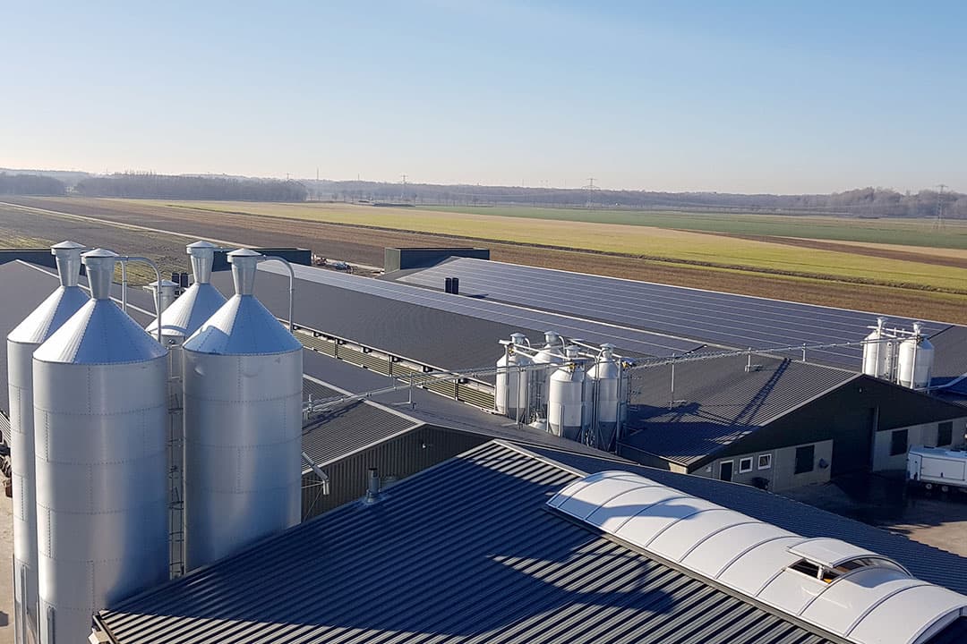 De identieke stallen zijn 95 meter lang en 23 meter breed en bieden plaats aan 126.000 vleeskuikens.
