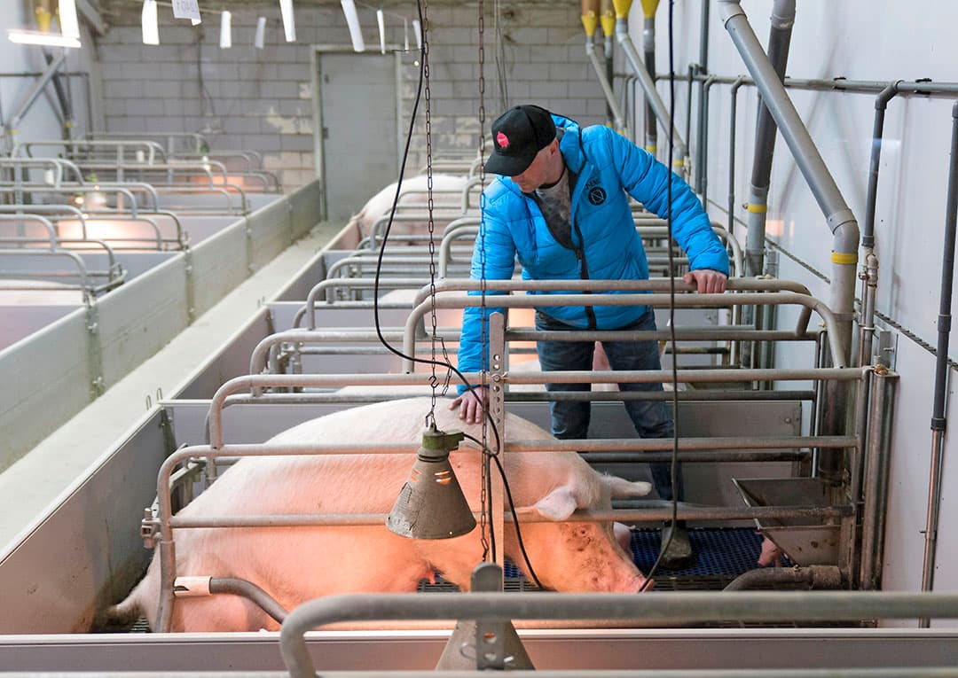 Foto's: Ruud Ploeg