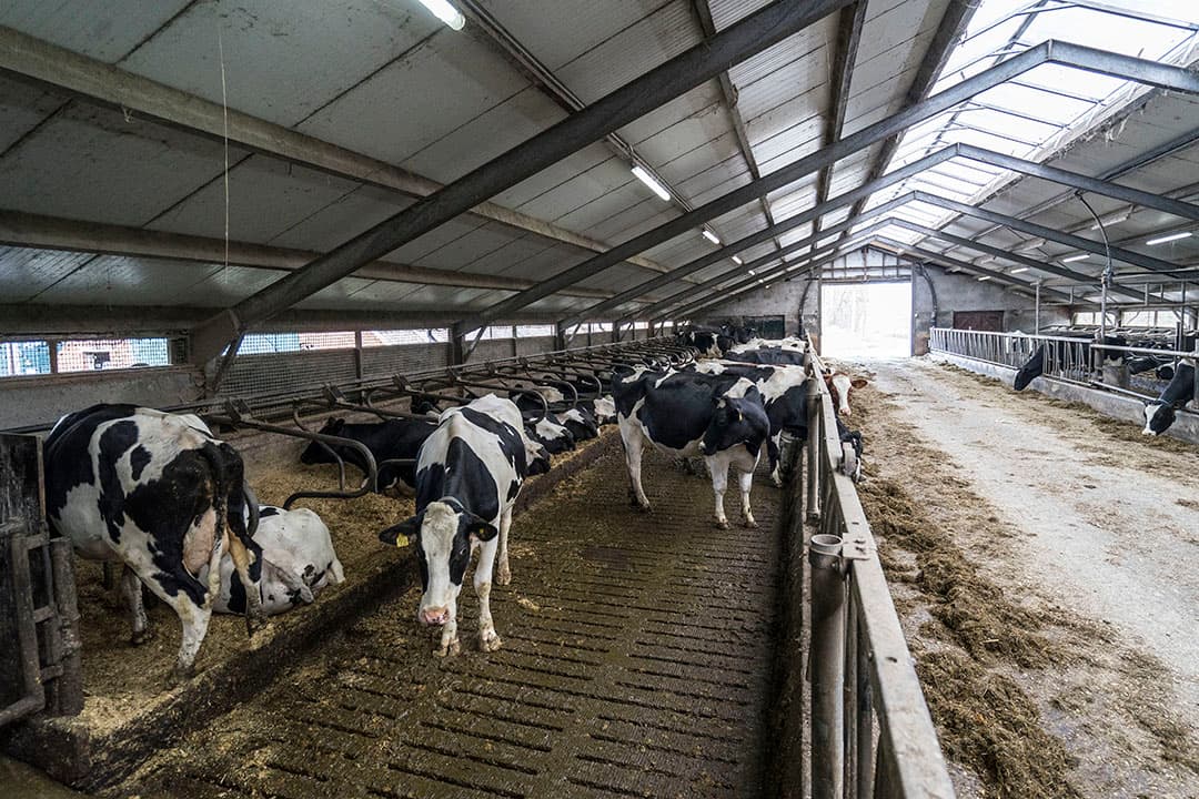 Foto: Jan Willem van Vliet