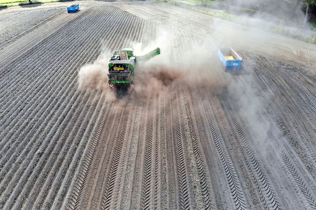 Droogte in september vorig jaar bij het rooien van aardappelen. Extreme warmte en hoosbuien maken boerenland een slagveld in de oorlog tegen klimaatverandering, zegt Piet Hermus. - Foto: Hans Prinsen