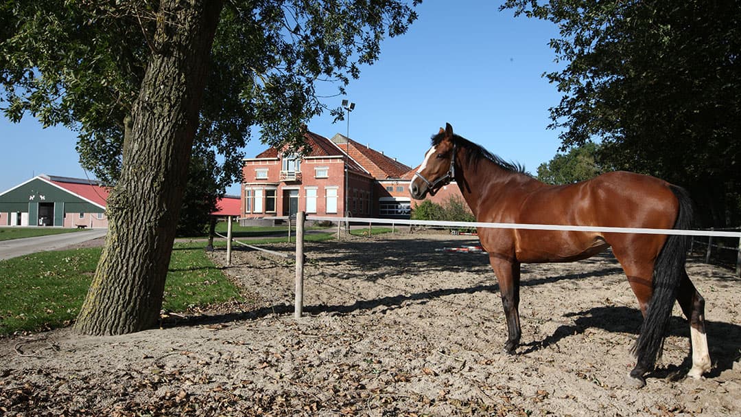 Foto's: Hans Banus