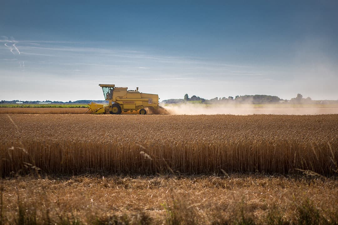 Foto: Peter Roek