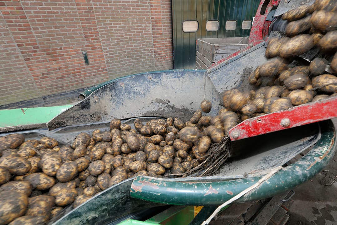 Foto: Henk Riswick