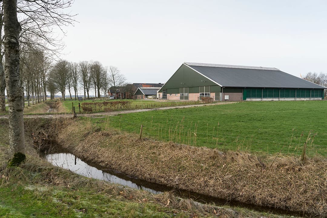 Foto's: Jan Willem van Vliet