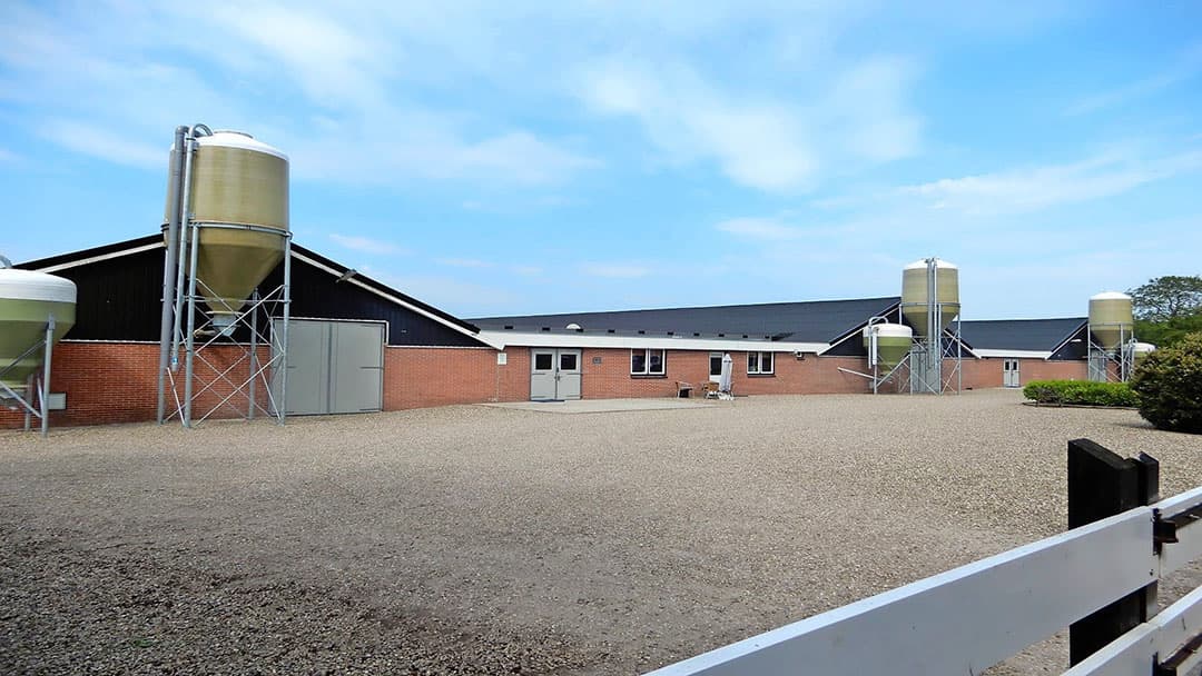 Op het nog niet volgebouwde bouwblok staan 3 identieke pluimveestallen. Er is in totaal plek voor 23.500 moederdieren. De stallen zijn 40 jaar oud, maar zien er modern uit en zijn prima up-to-date. Ook zijn vorig jaar alle asbestdaken gesaneerd.