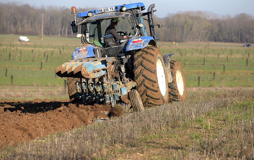 Bij het voorjaar horen natuurlijk lammeren in de wei. - Foto: Twan Wiermans