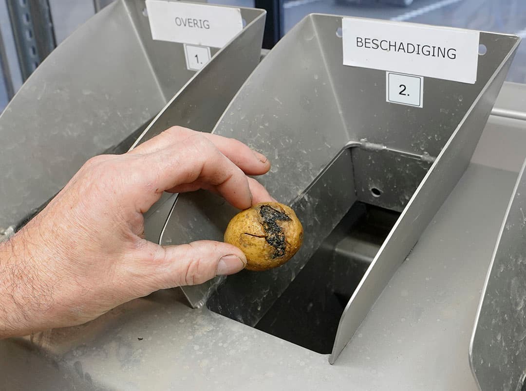 Dit is de lijn waar alle monsters over heen gaan. De kwaliteitbepalingslijn bestaat uit verschillende modules, die wel of niet zijn ingeschakeld afhankelijk van het type inspectie dat de lijn uitvoert. Dat hangt af van de kwaliteitscriteria die gemeten moeten worden. Bij pootaardappelen wordt onder andere een beoordeling uitgevoerd naar externe gebreken, zoals schurft en rhizoctonia. Bij consumptieaardappelen wordt onder andere de wasbaarheid van de aardappelen bepaald om de juiste bestemming in de retail te kunnen bepalen.