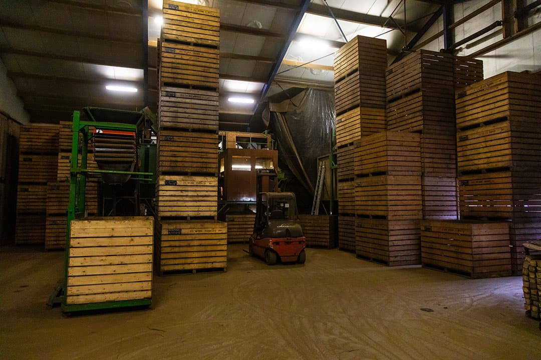 Dag en nacht voeren de twee voerrobots de kalveren. Dat bespaart Ter Beke jaarlijks 1.092 uur en ¬ 25.000 op het voeren van de kalveren. Voorheen deed hij dit met de trekker en een voermengwagen.
