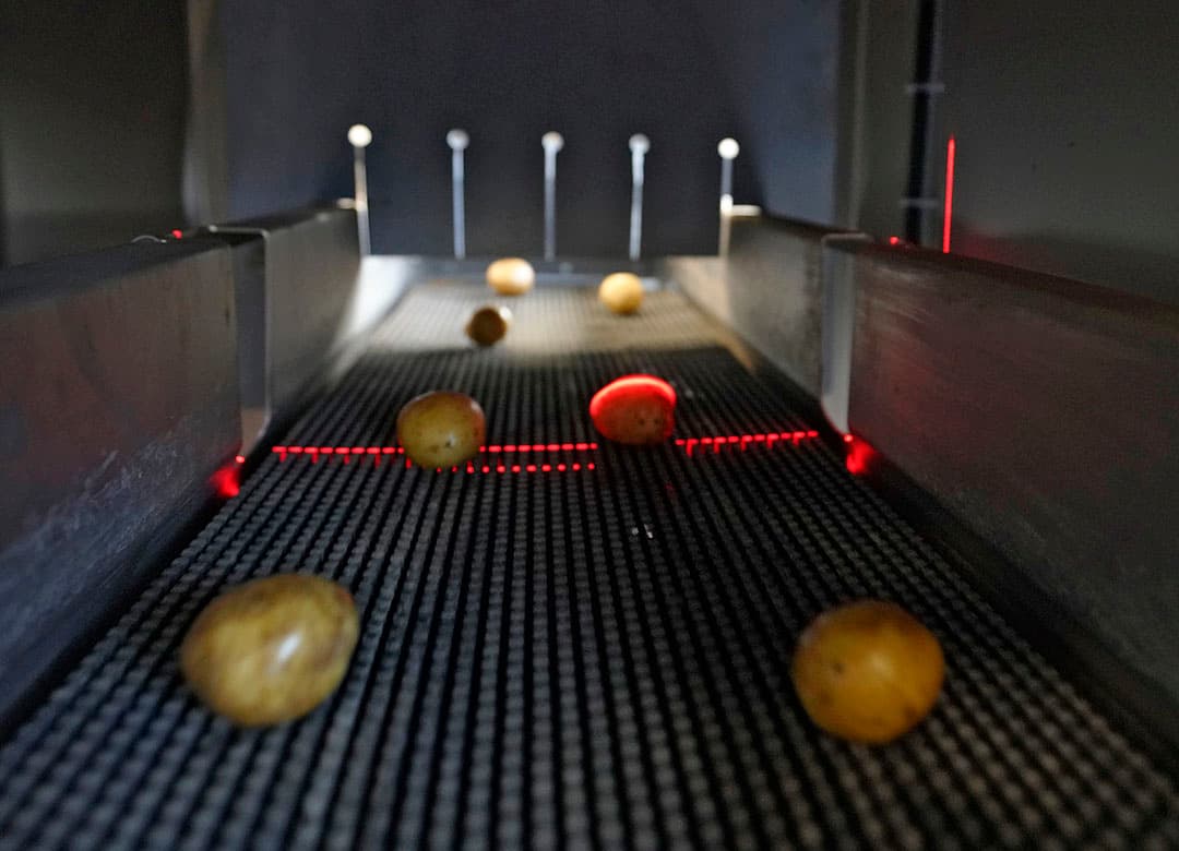Aan de leesband zitten zeven bakken, ieder voor een bepaald soort afwijking zoals vreterij, groen, misvormingen of beschadigingen. Iedere bak heeft een sensor om de aardappelen te tellen en individuele weegbakken. Zo worden de tarracomponenten automatisch vastgelegd.