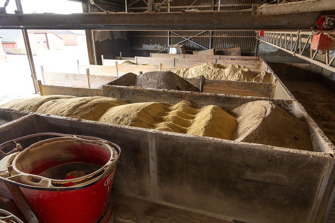 Door de keuze voor voerrobots zijn minder brede voergangen nodig en dat bespaarde op de bouwkosten van de nieuwe stal.
