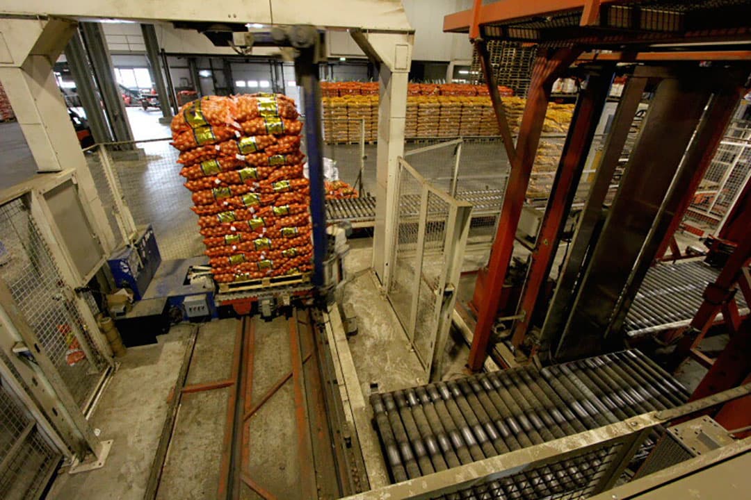 Naast het verwerken van uien is de teelt en verwerking van pootaardappelen een belangrijk onderdeel van Van Meir. Omdat het te sorteren pootgoed uit de koeling komt staan ze hier links voor de droogwand om op te warmen. Rechts staat nog een partij uien klaar voor levering.