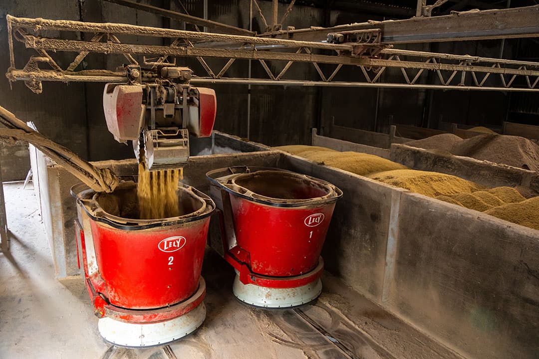 De vleeskalveren worden als jong rosé geleverd aan de Pali Group. Het automatisch voeren heeft geen invloed op de groei van de kalveren, maar het bespaart jaarlijks wel ¬ 50.000 op arbeid en voerkosten.