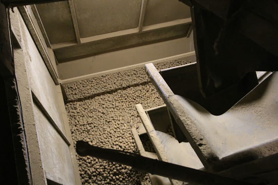 Na het sorteren gaan de uien in kisten of bunkers voor tijdelijke opslag.