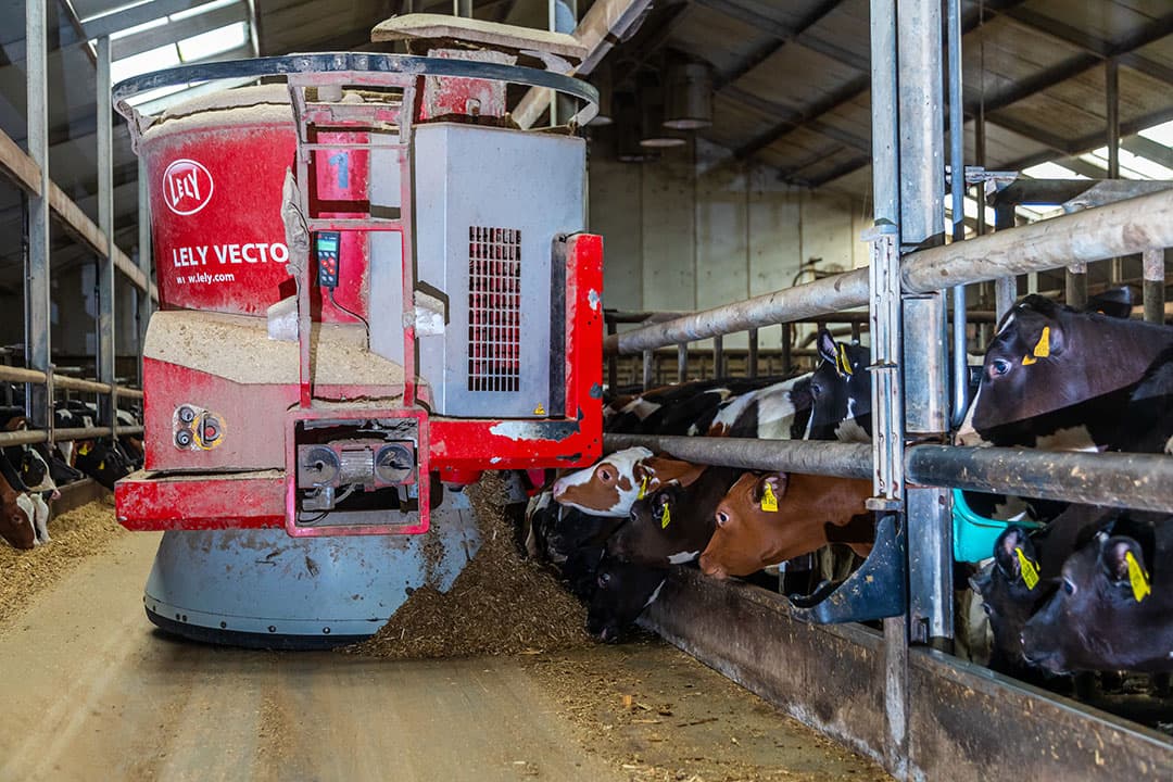 De voergrijper lost voer in één van de twee voerrobots. De robots voeren in vier kalverstallen.