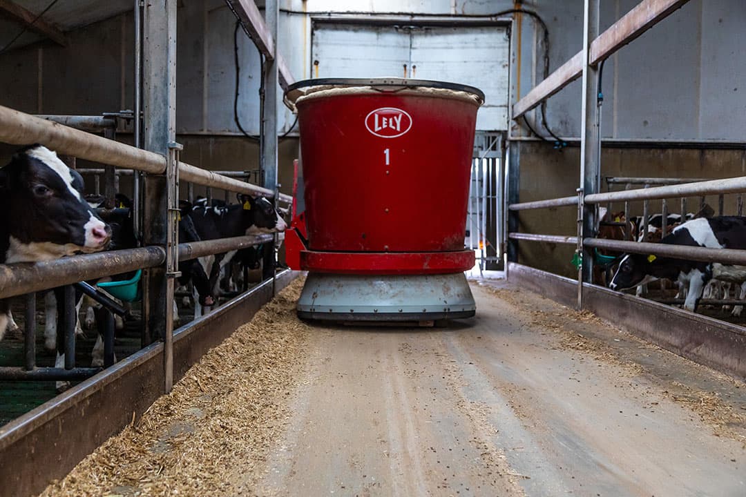 Familie Ter Beke houdt 1.750 rosékalveren en wilde graag arbeid besparen op het voeren van de kalveren.