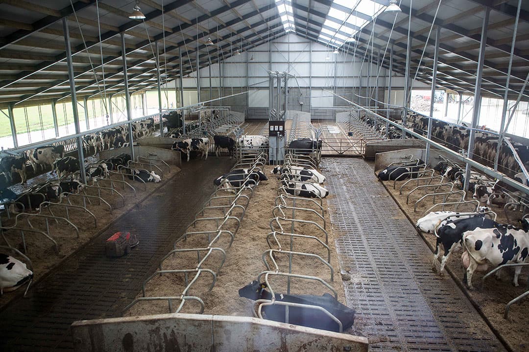 Foto: Peter Roek