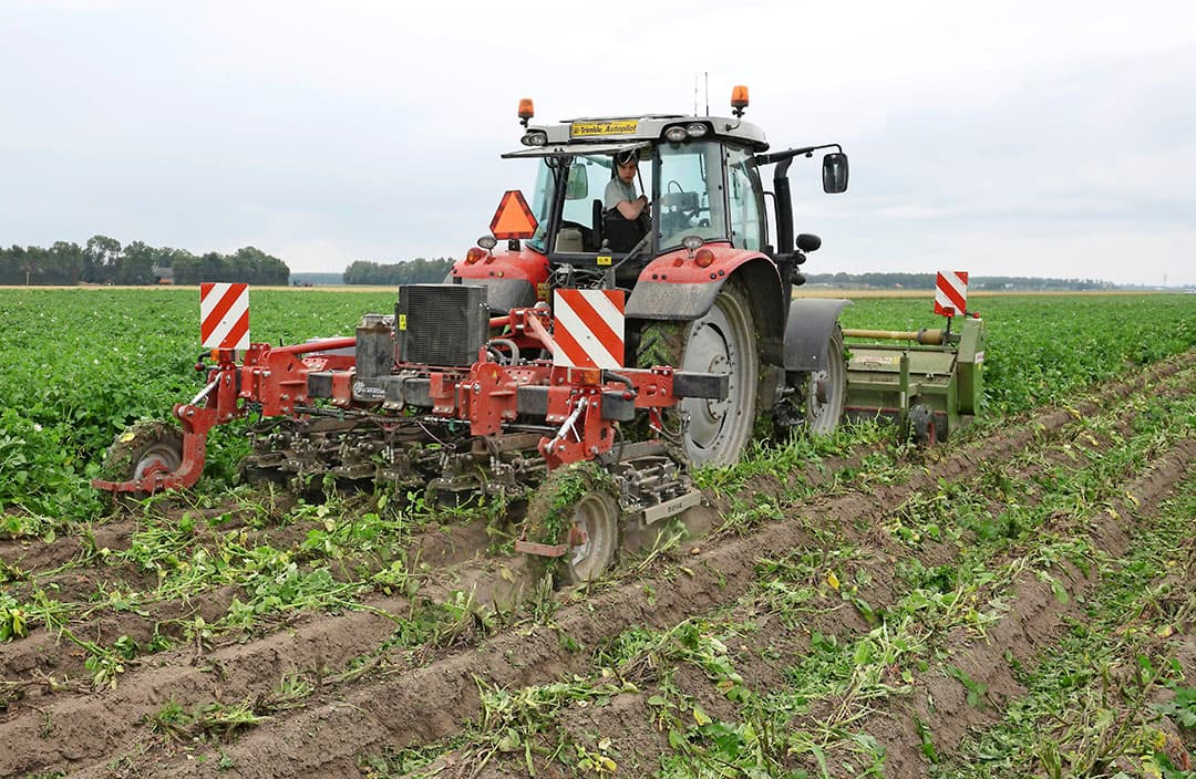 Foto: Ruud Ploeg
